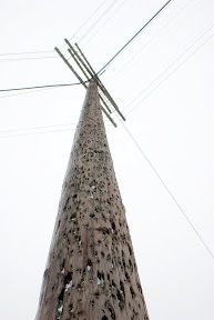 DSC_4521.jpg