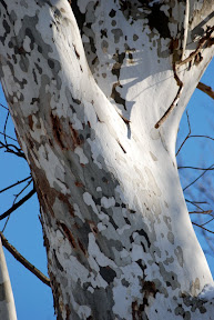 DSC_5842.JPG