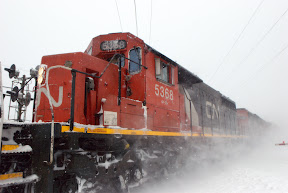 DSC_4561.jpg