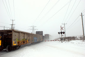 DSC_4574.jpg