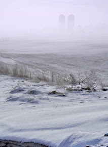 DSC_0226.JPG