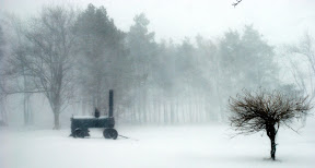 DSC_5425.jpg