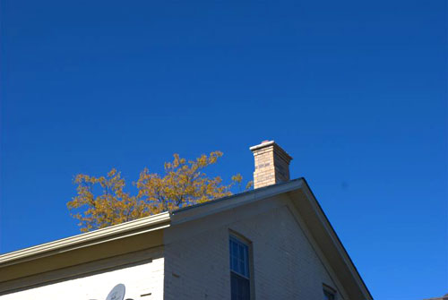 https://www.bronx-terminal.com/chimney