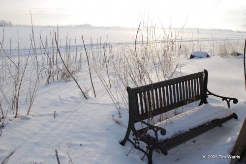 Frosty Bench Frosty Bench